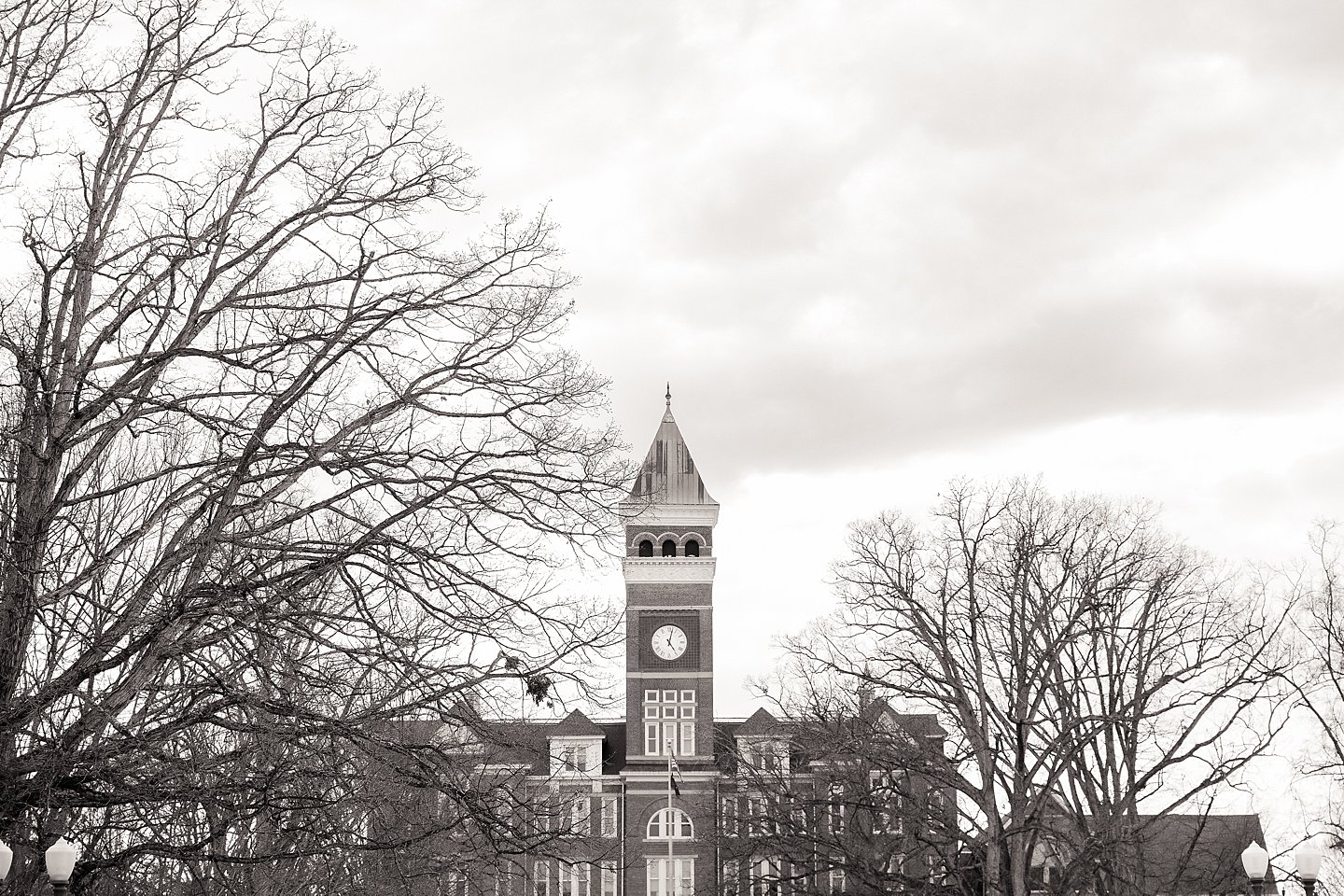 clemson proposal jennifer stuart photography 0047